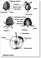 Кликните для увеличения